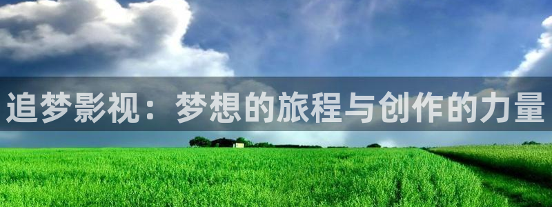 全能影视王