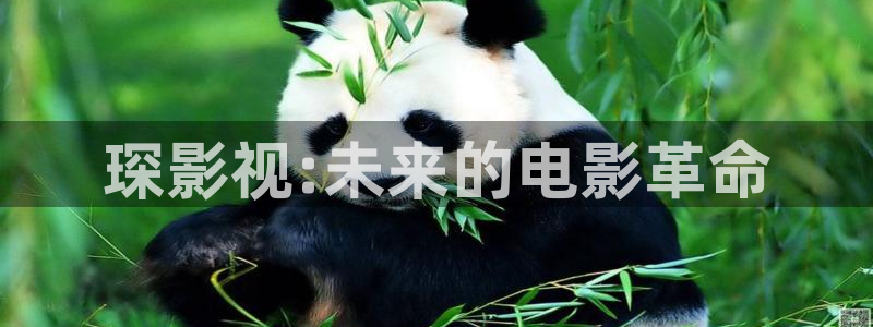 全能影视网站