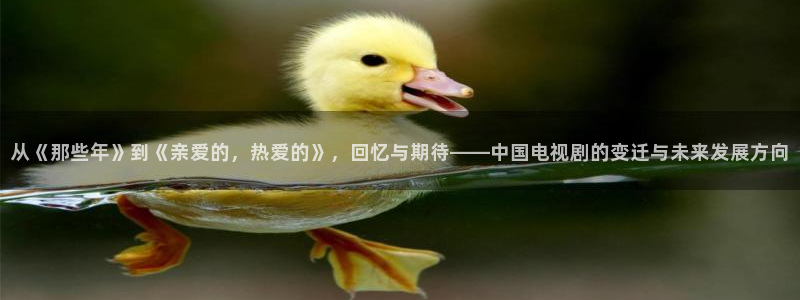 全能电影网站
