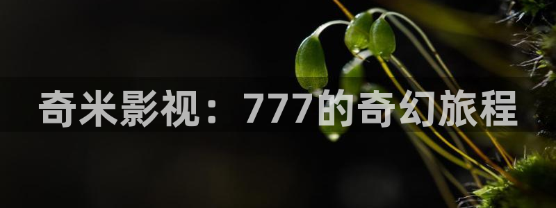 全能影视网页版