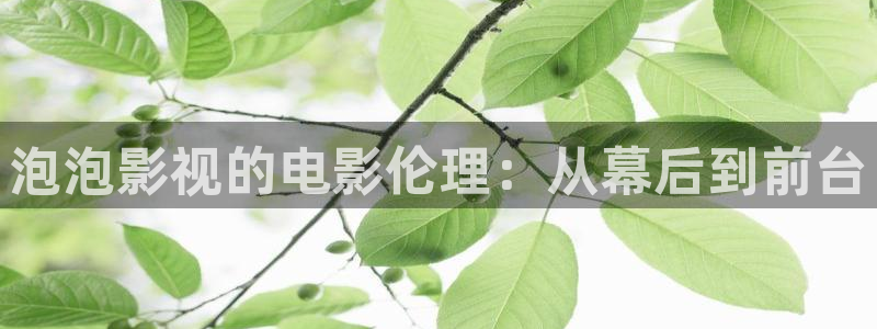 全能影视软件