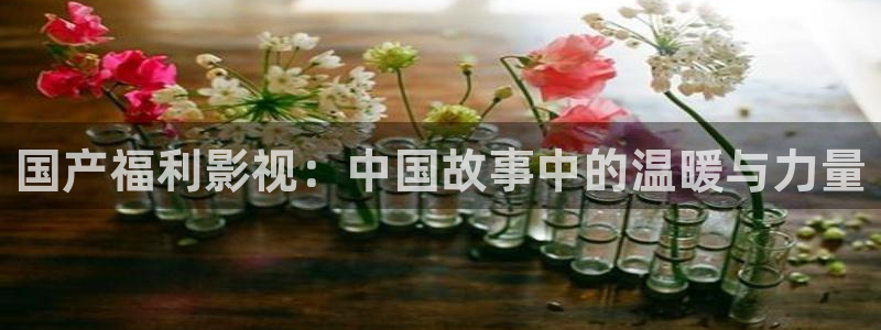 全能影视免费大全